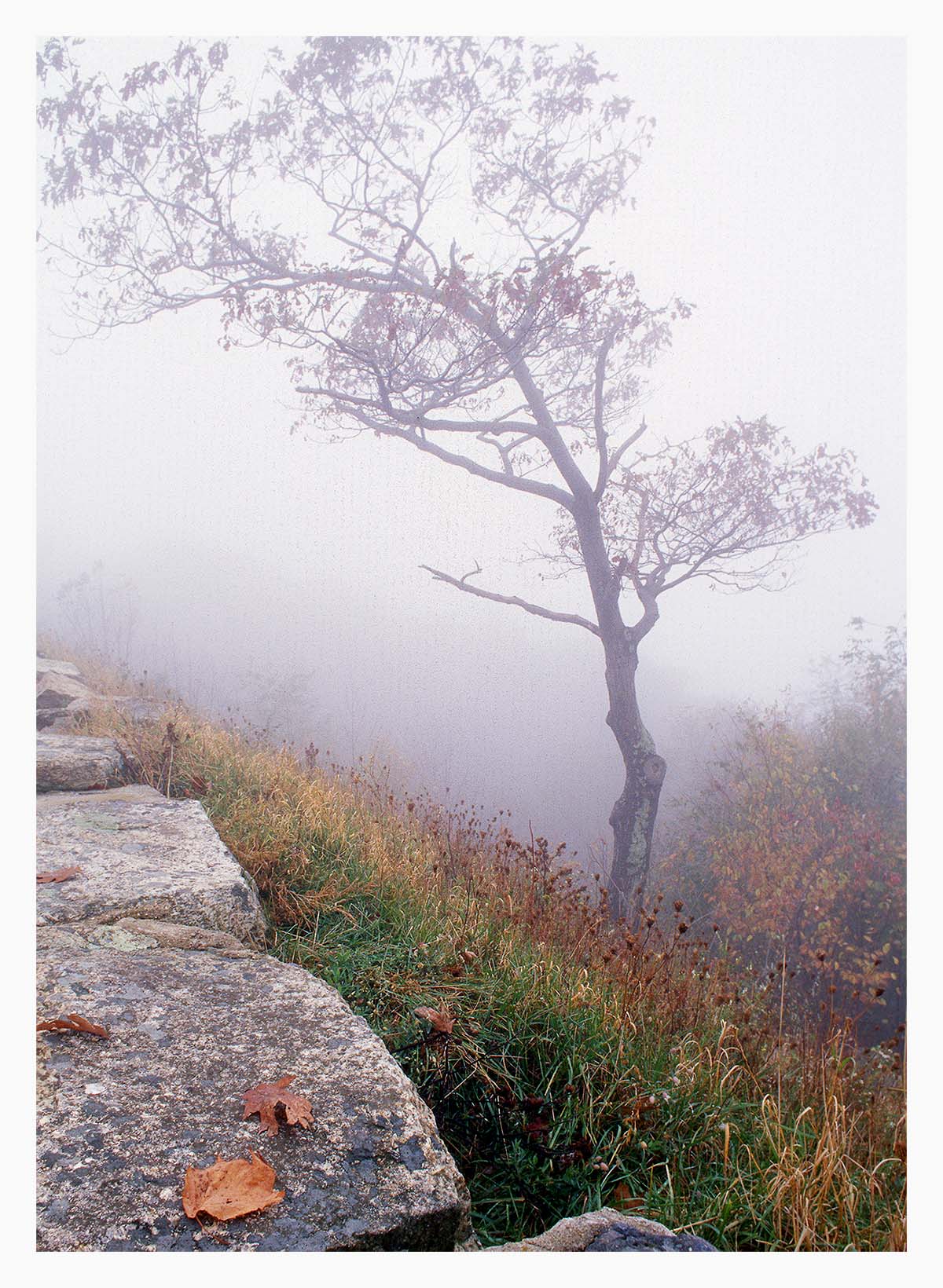 Shenandoah NP